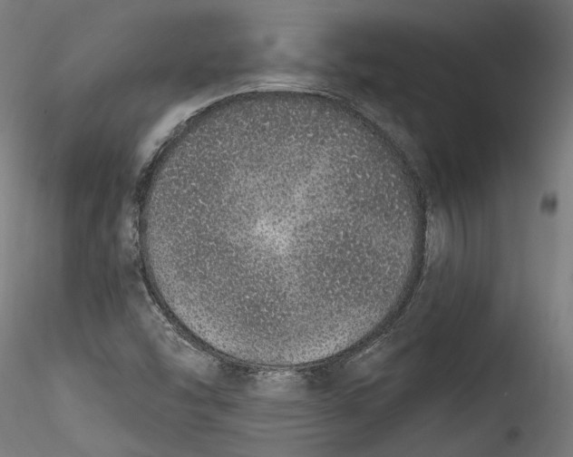 X0000115521454200911271312