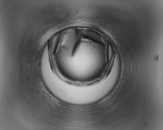 X0000115521455200911271312