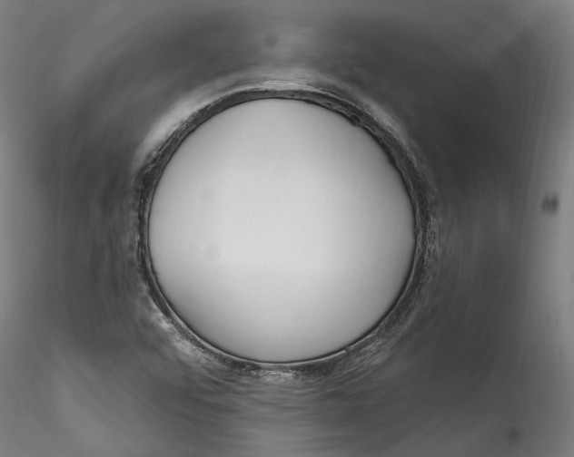 X0000115521456200911271312