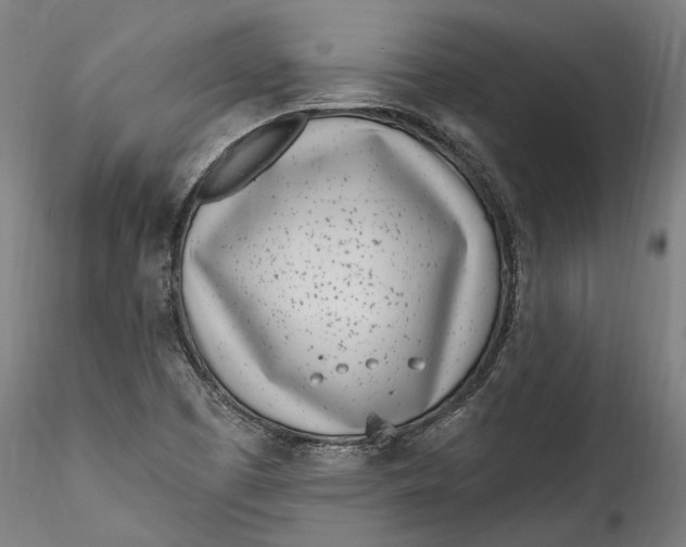 X0000115521457200911271312