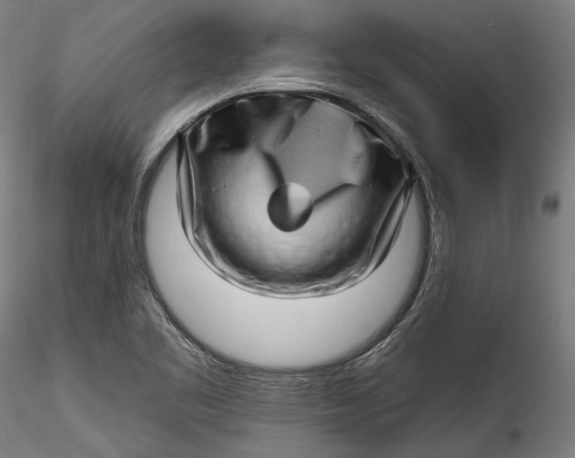 X0000115521461200911271312