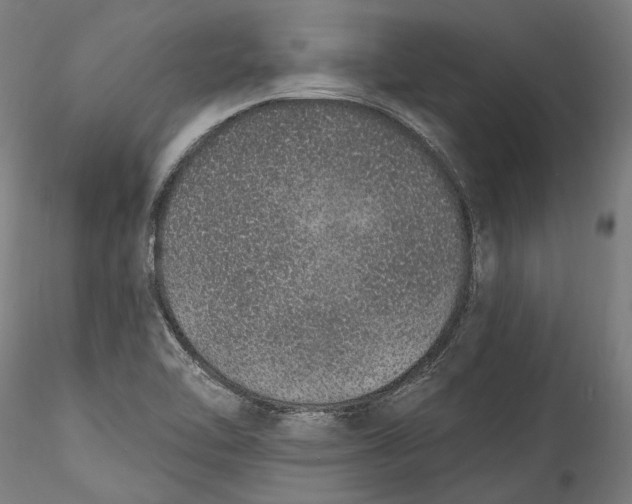 X0000115521462200911271312