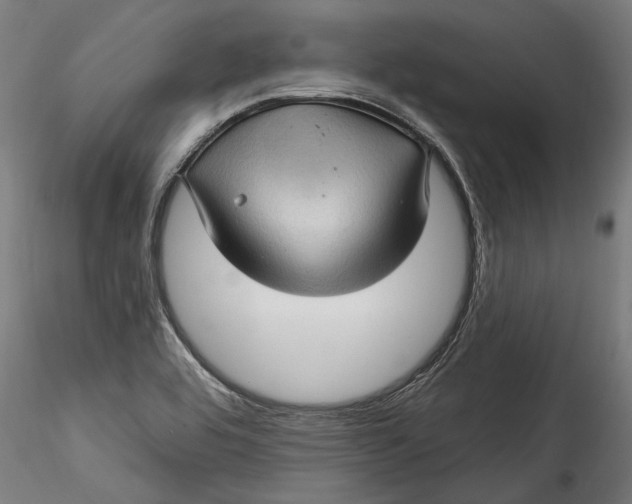 X0000115521464200911271312