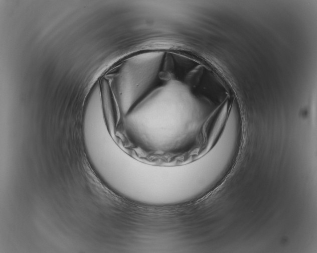 X0000115521465200911271312