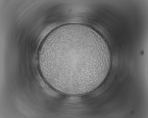 X0000115521466200911271312