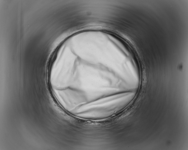 X0000115521467200911271312