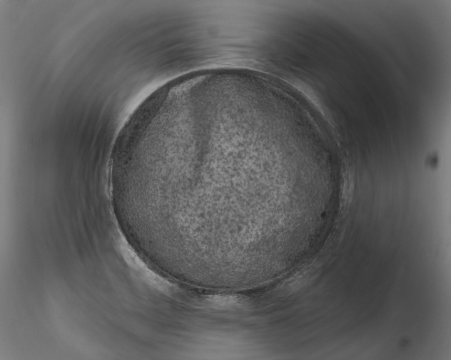 X0000115521468200911271312