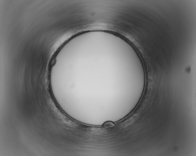 X0000115521469200911271312