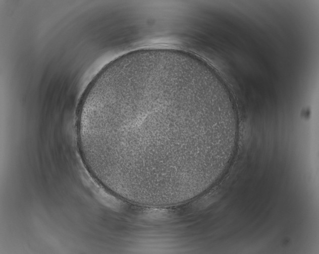 X0000115521470200911271312