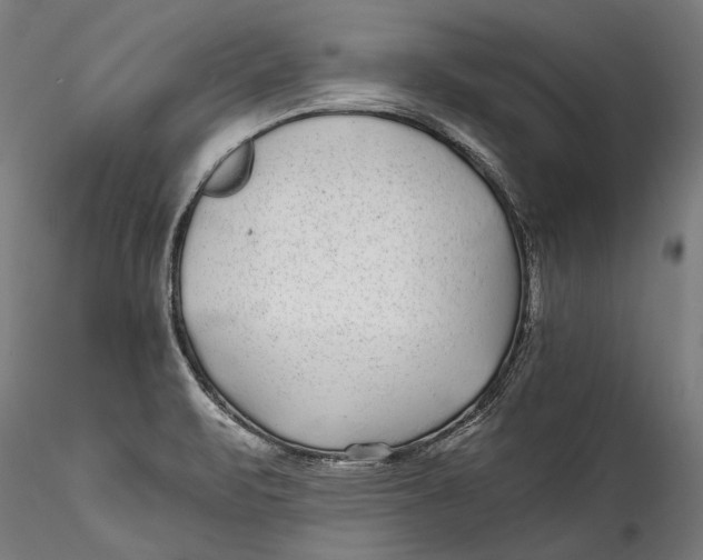 X0000115521471200911271312