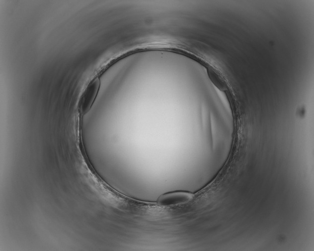 X0000115521472200911271312