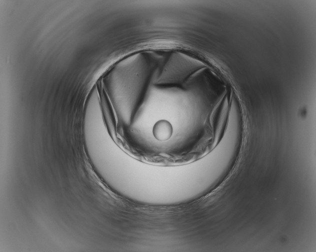 X0000115521473200911271311