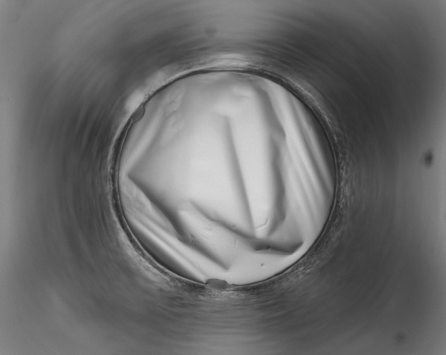 X0000115521475200911271311