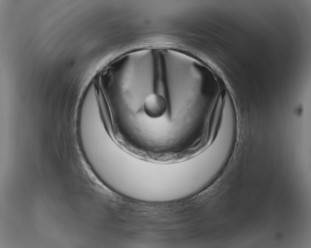 X0000115521477200911271311