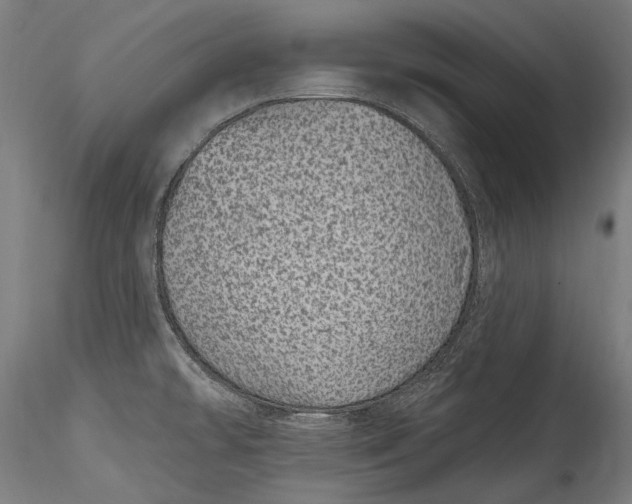 X0000115521478200911271311