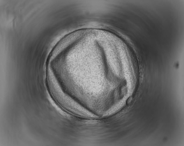 X0000115521479200911271311