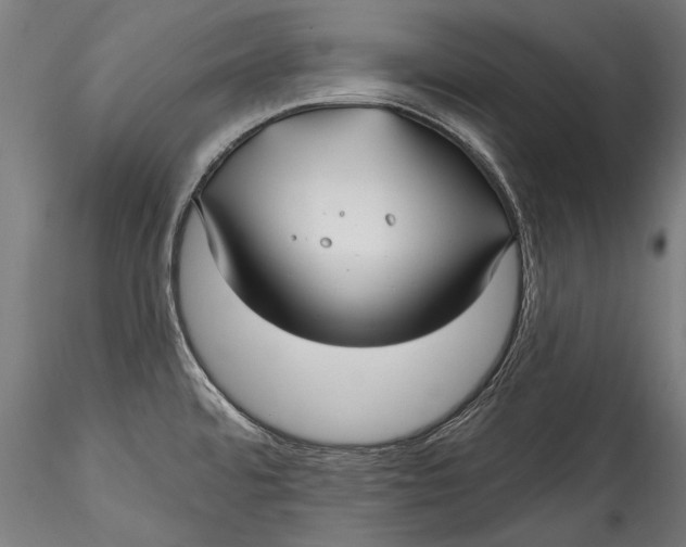 X0000115521480200911271311