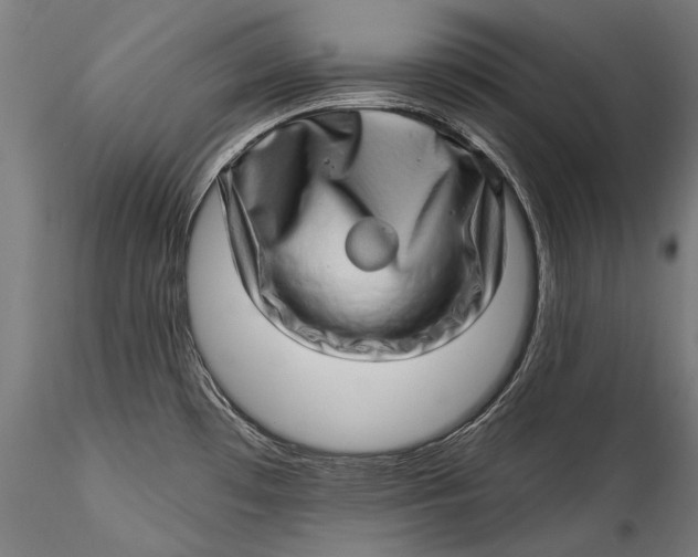 X0000115521481200911271311