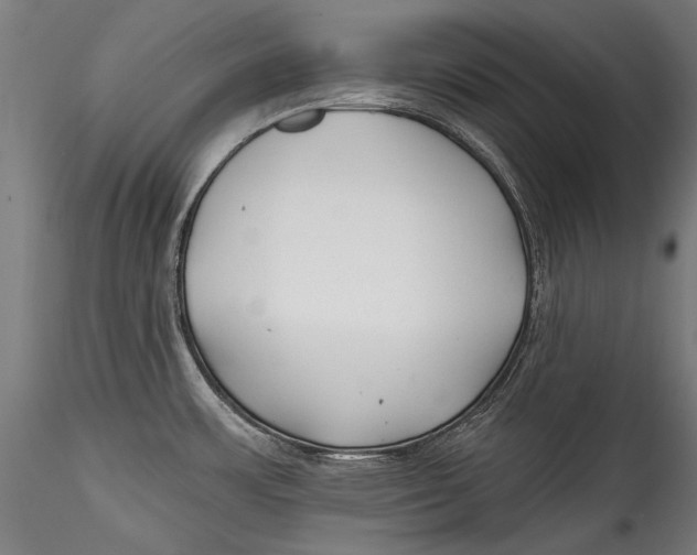 X0000115521483200911271311