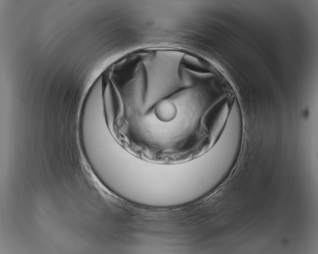 X0000115521485200911271311