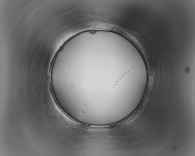 X0000115521487200911271311