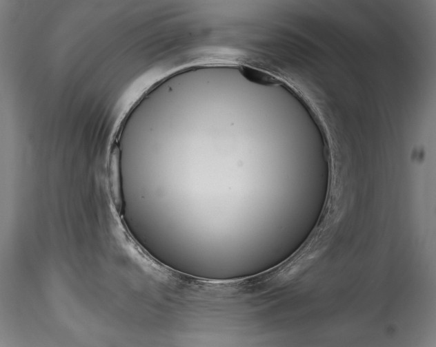 X0000115521488200911271311