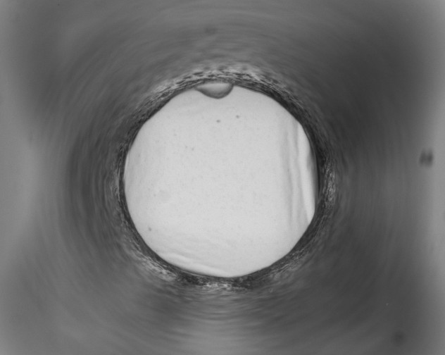 X0000115521489200911271310