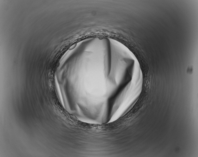 X0000115521490200911271310