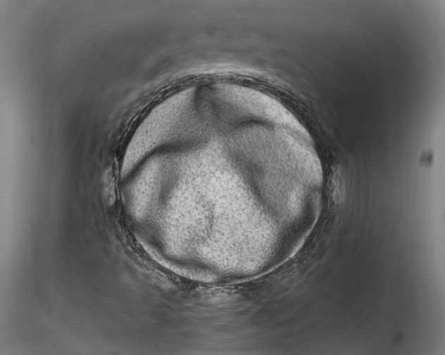 X0000115521493200911271311