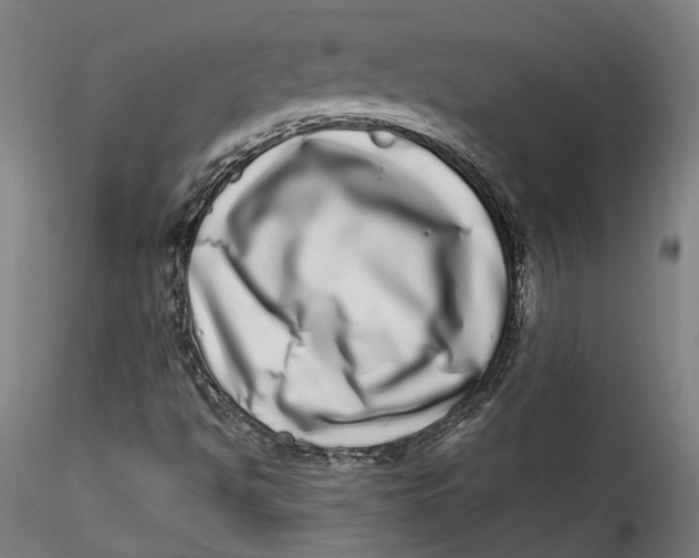 X0000115521494200911271311