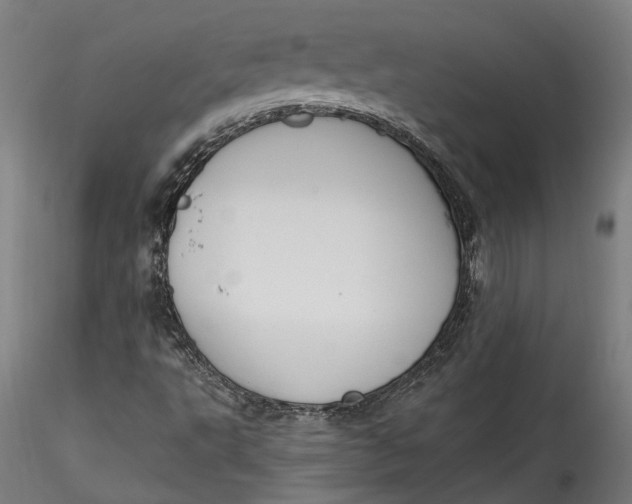 X0000115521495200911271311