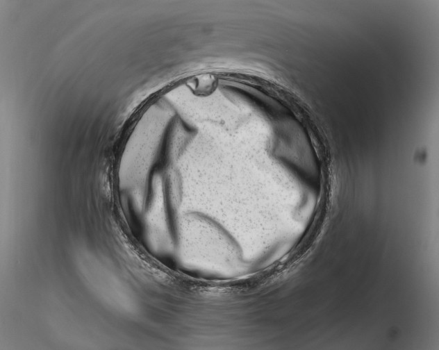 X0000115521497200911271311