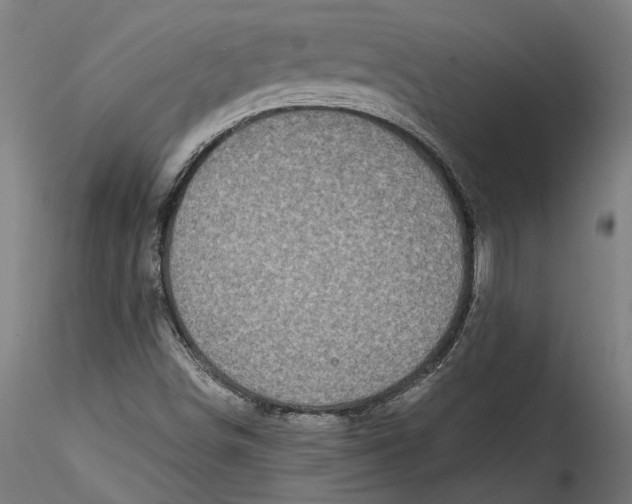 X0000115521498200911271311