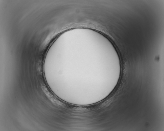 X0000115521499200911271311