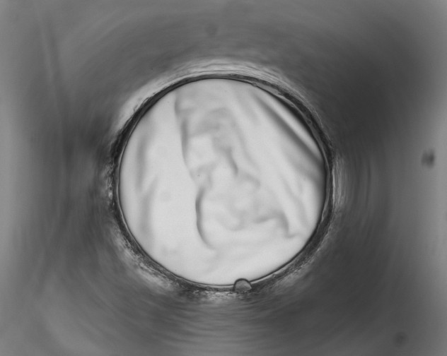 X0000115521501200911271311