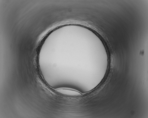 X0000115521502200911271311