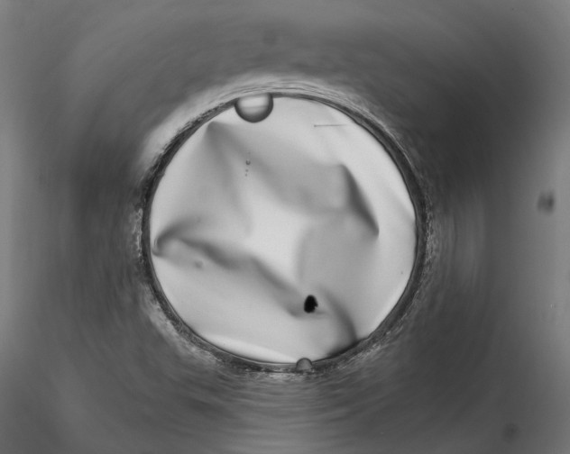 X0000115521503200911271311