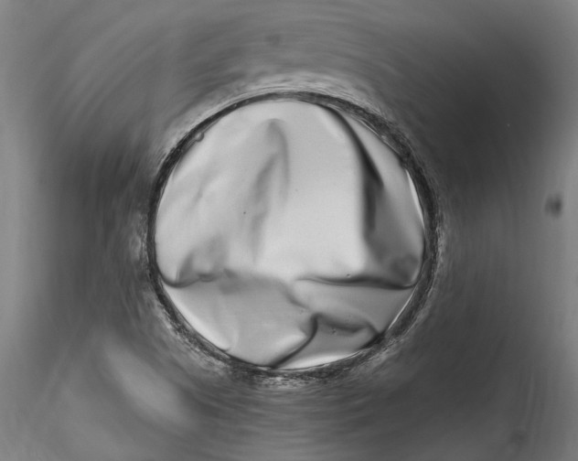 X0000115521505200911271311