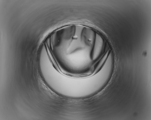 X0000115521506200911271311