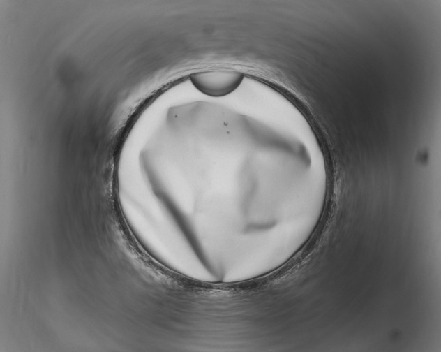 X0000115521507200911271311