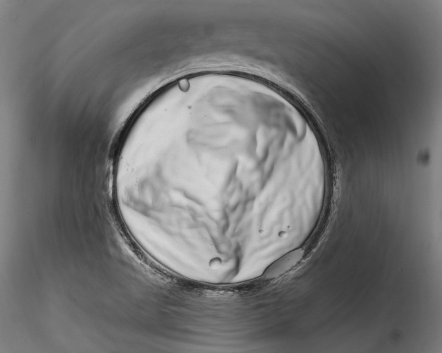 X0000115521509200911271311