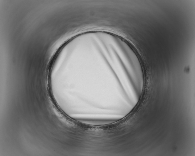 X0000115521511200911271311