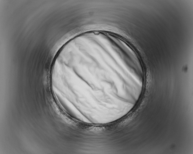 X0000115521513200911271311