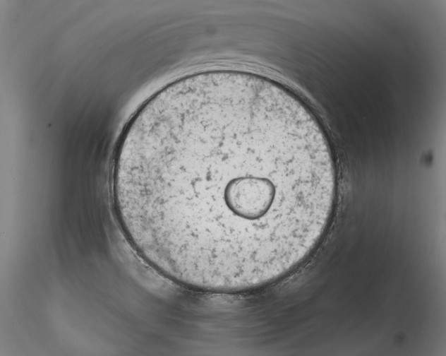 X0000115521514200911271311