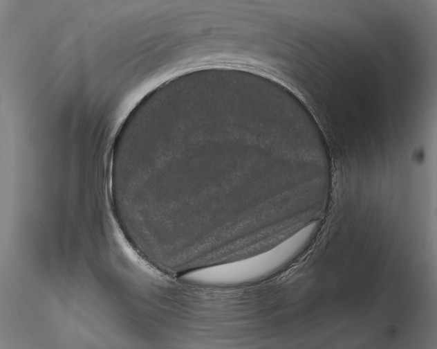 X0000115521515200911271311