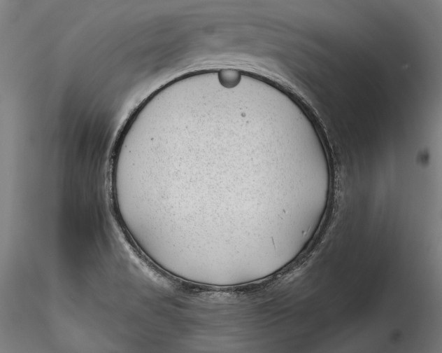 X0000115521517200911271311