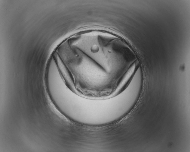 X0000115521518200911271311