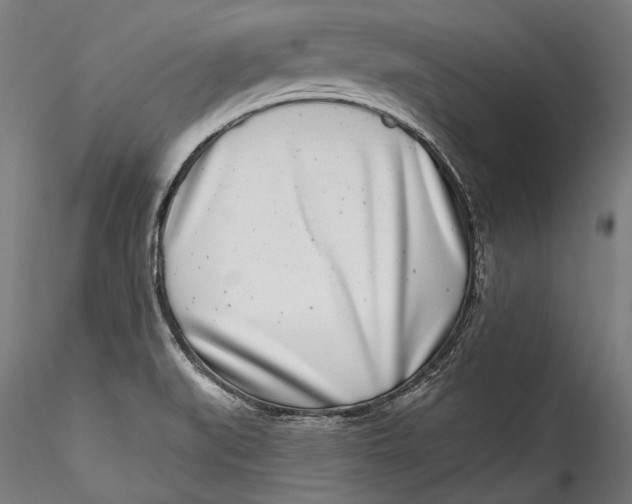 X0000115521519200911271311