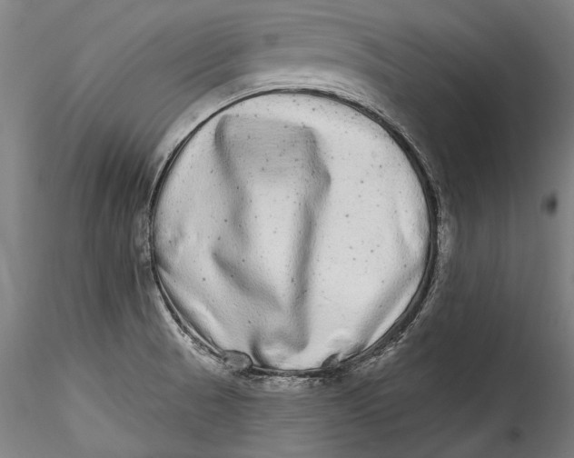 X0000115521521200911271311