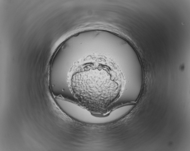 X0000115521522200911271311